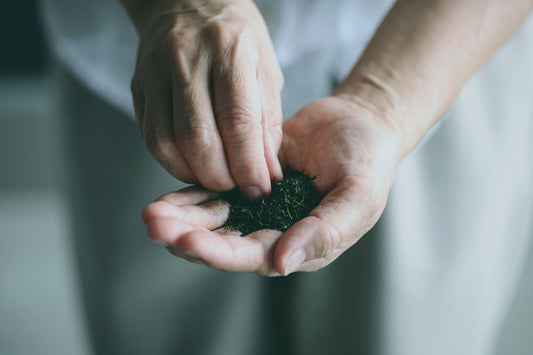 お茶はなぜ緑なのか
